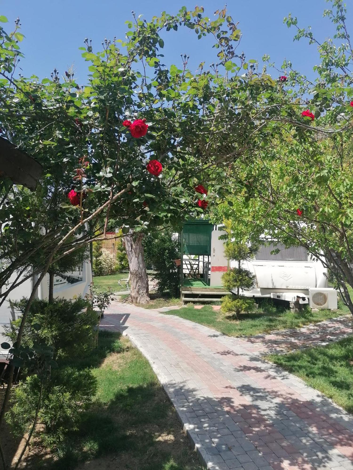 Oba Beach Hotel Ölüdeniz Esterno foto