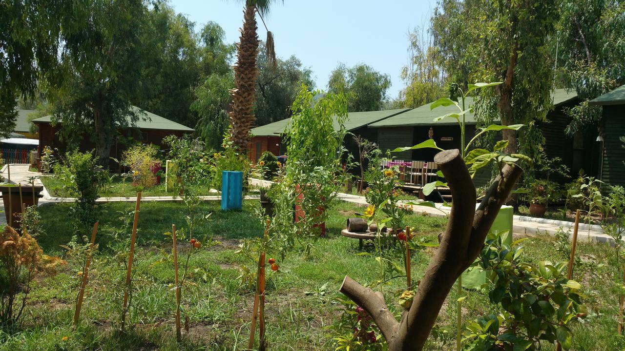 Oba Beach Hotel Ölüdeniz Esterno foto