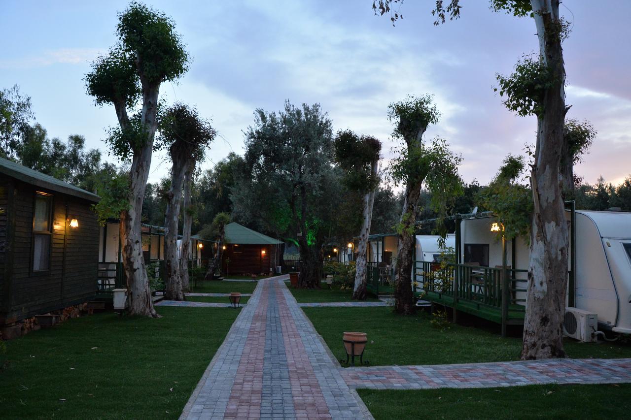 Oba Beach Hotel Ölüdeniz Esterno foto